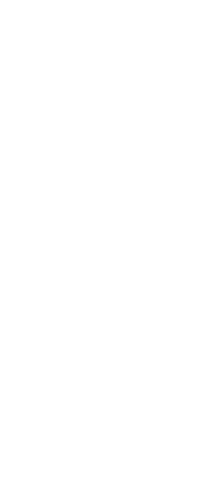 rev-branco rev-branco